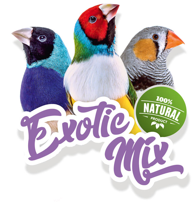exotic_mix_logo