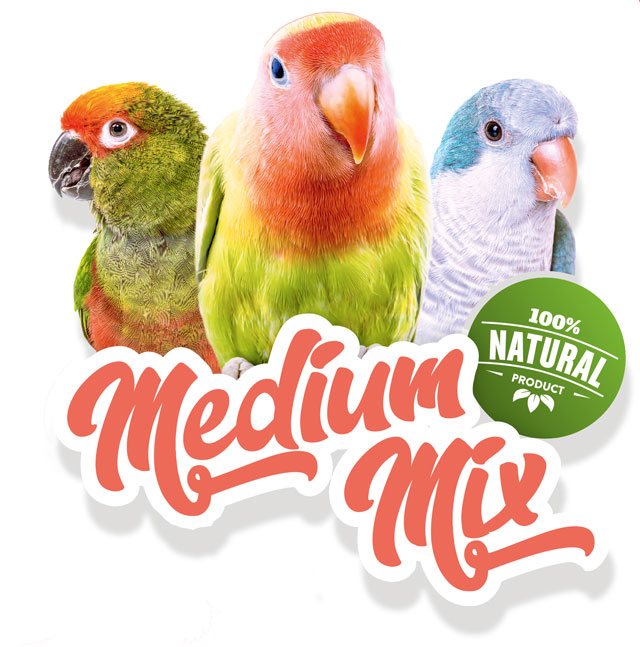 medium_mix_logo